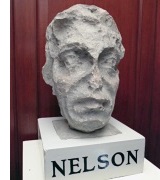 Neslon's head