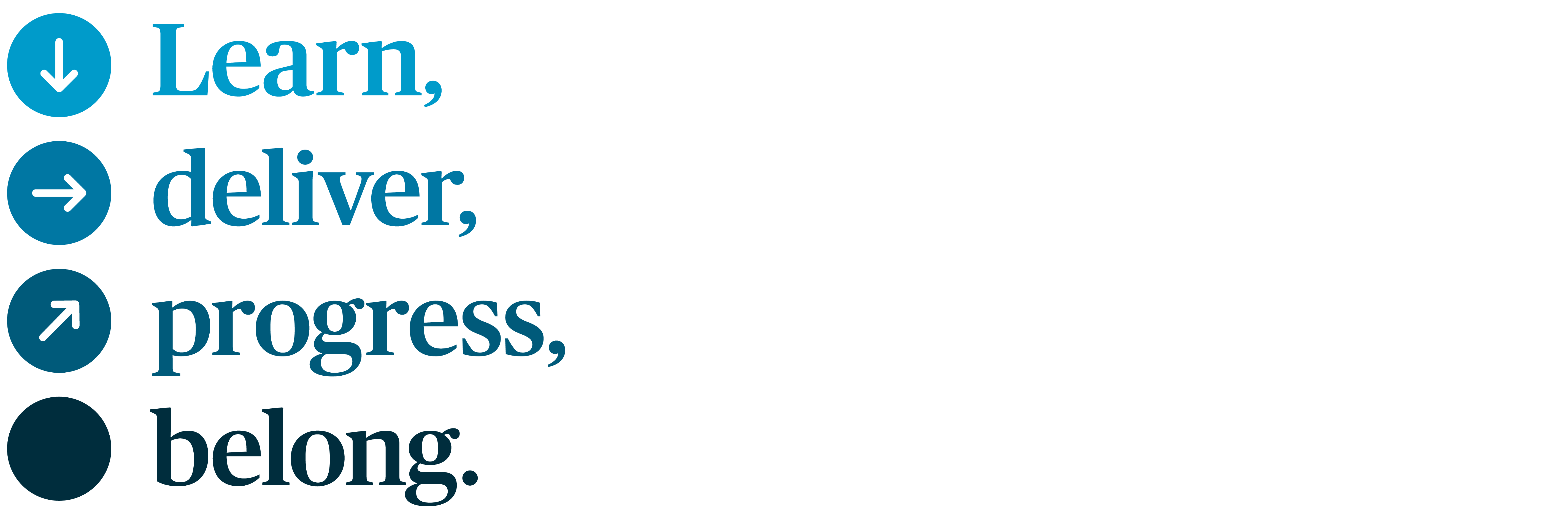 graduate engineer banner 4