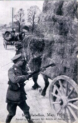 Postcard. "Irish Rebellion, May, 1916. Searching a hay-cart for rebels or ammunition