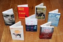 Irish books on longlist