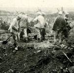 Soldiers at the Somme