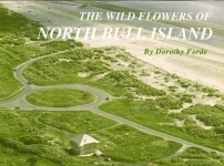 Bull Island