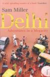Delhi: adventures in megacity