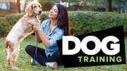 dogtraining