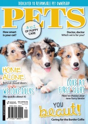 dogs