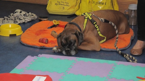 Jake asleep