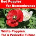 Red poppies for remembrance. White poppies for a peaceful future
