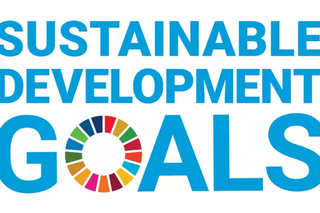 SDG logo square