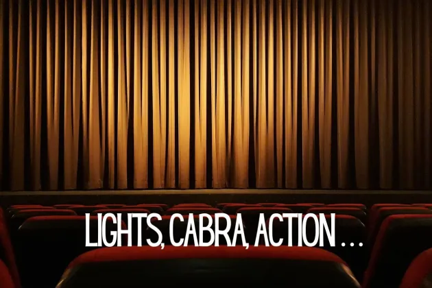 Theatre Curtain and Spotlight