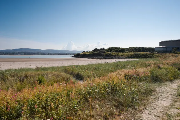 bull_island_biodiversity