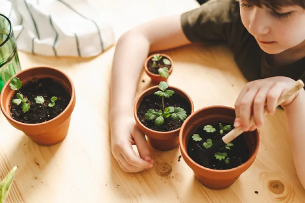 Sensory Friendly Planting Workshop