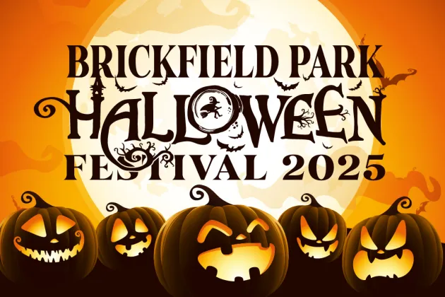 Brickfield park halloween festival 2025