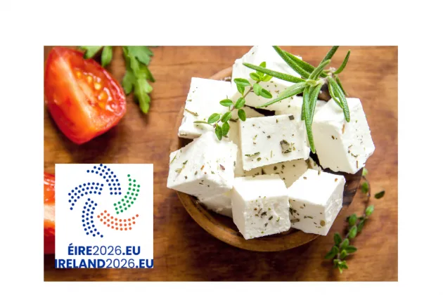 Greek food