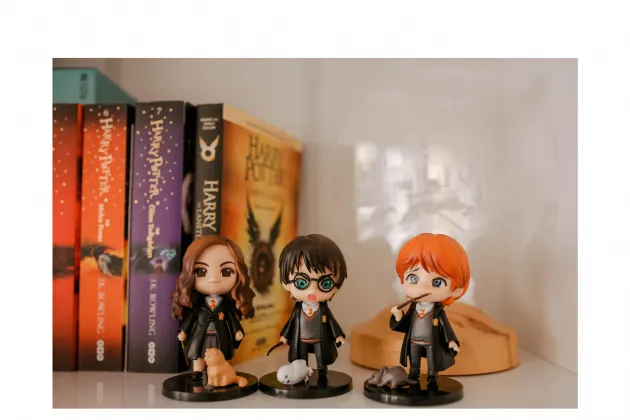 Harry Potter Canva