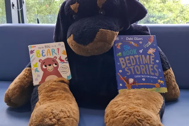 Image of oversized teddy with two books in Cabra Library