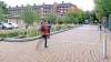 Permeable pavement and shallow tree planted basin