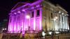 Pink City Hall_pink wash_MvdL