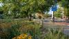 This raingarden looks great and attracts wildlife at the same time as cleaning pollution and reducing flooding