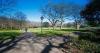 tree shadows fall across the grass at georgian era park