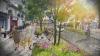 Image from Santry River Restoration project