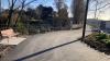 dodder photo 1