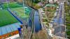 Dodder photo 7