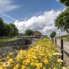 Waterways Ireland 1