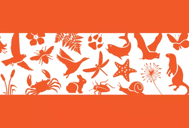 Biodiversity blog
