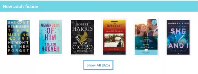 New fiction