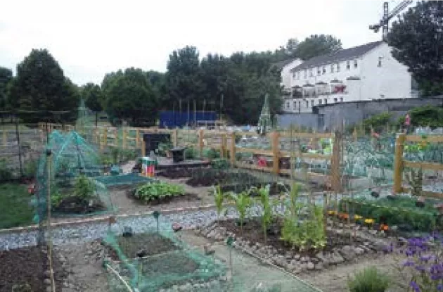 Photo showing Grattan Crescent Allotment