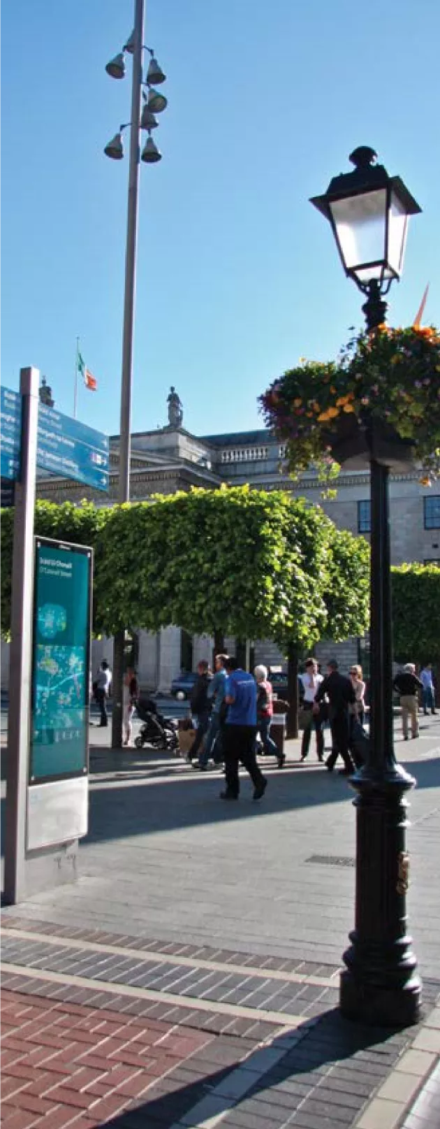 Picture of O’Connell Street’s Box-headed Lime Trees