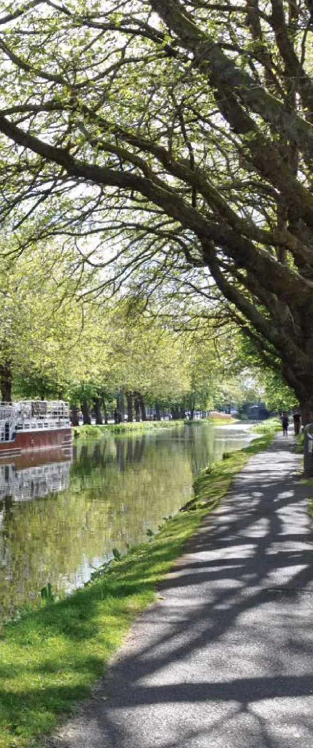 Picture of the Grand Canal Bank