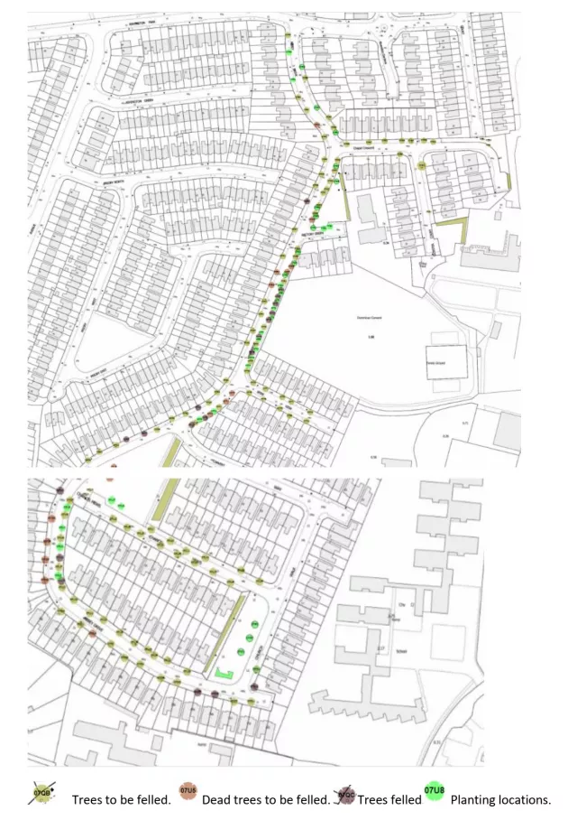 Tree Felling Map