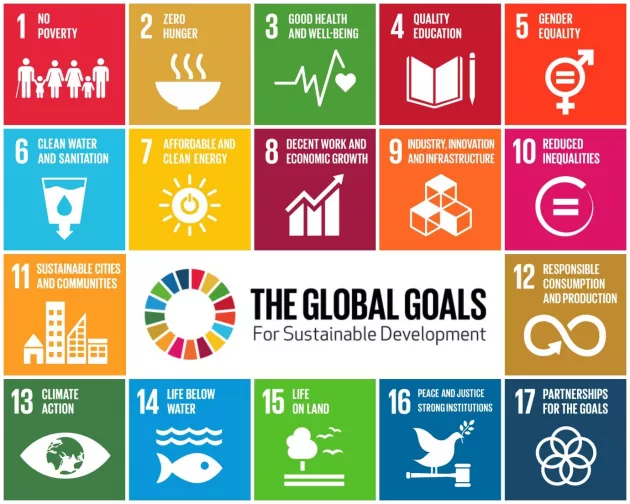 Figure 1 4: UN Sustainable Development Goals