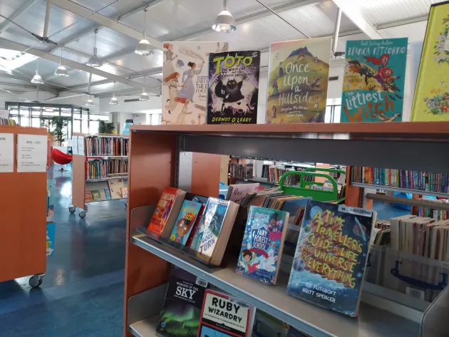 Cabra Library bookshelves