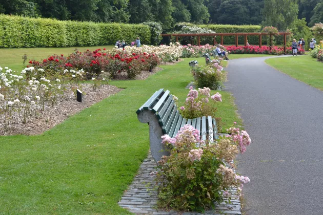 Image of st anne's park of a bench