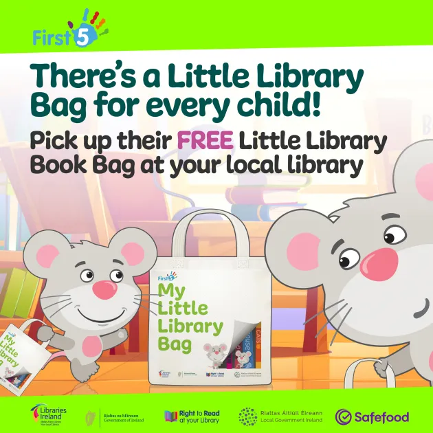 Little Library Bag