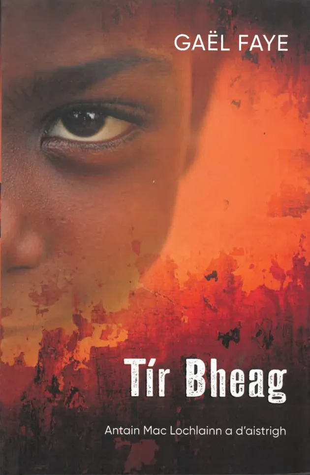 Tír Bheag Book Cover 