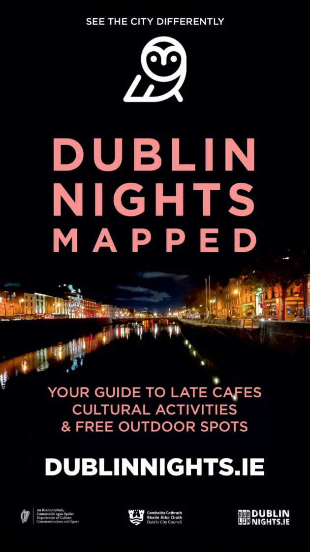 Dublin Night Mapped Poster
