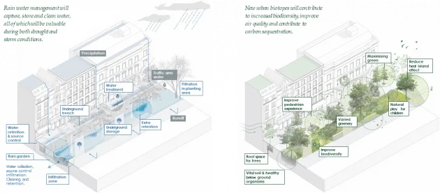 Sustainability & Climate Action Acco