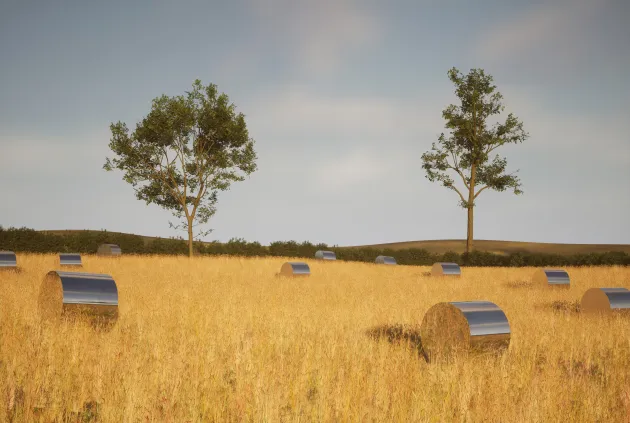 Trees