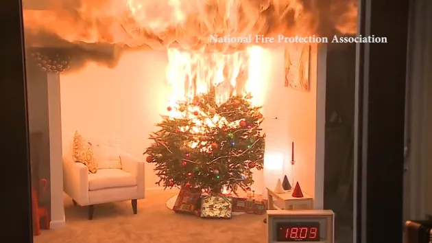 christmas tree on fire in corner of a living room