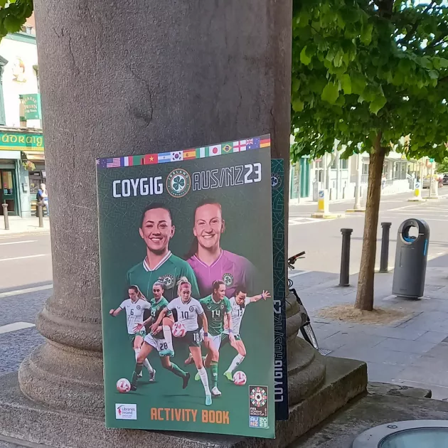 FAI activity book