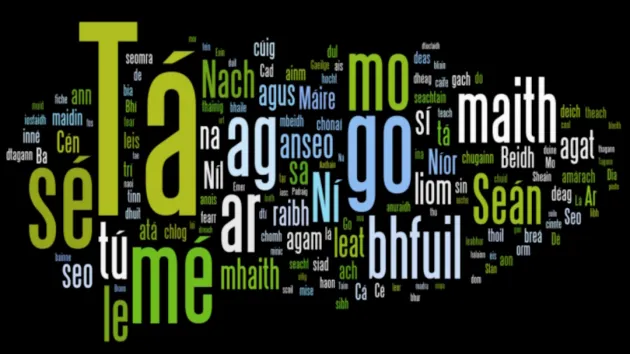 Irish language