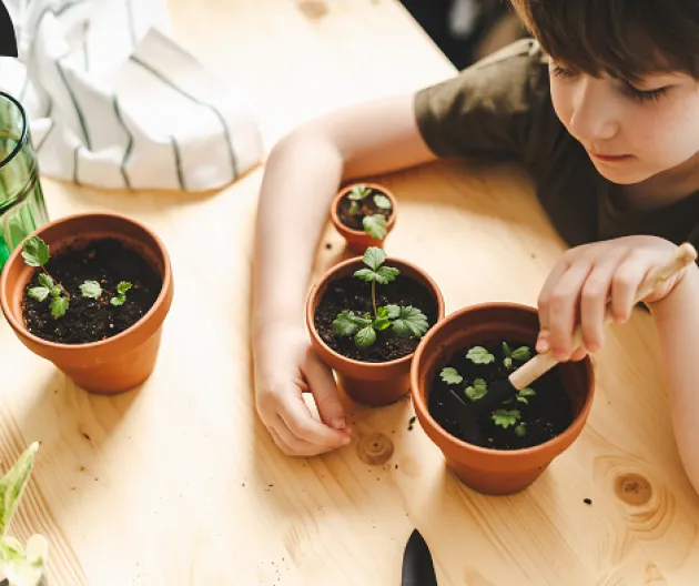 Sensory Friendly Planting Workshop