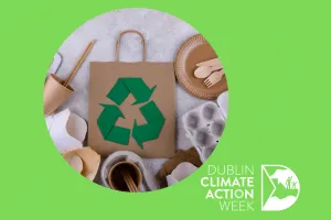 Image of brown paper bag with recycling logo on green background with DCAW logo