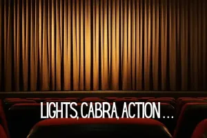 lights camera action