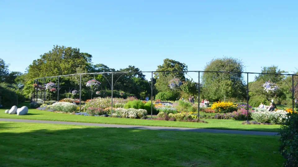 Botanical Garden on a sunny day with flowers 