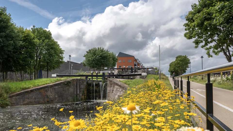 Waterways Ireland 1